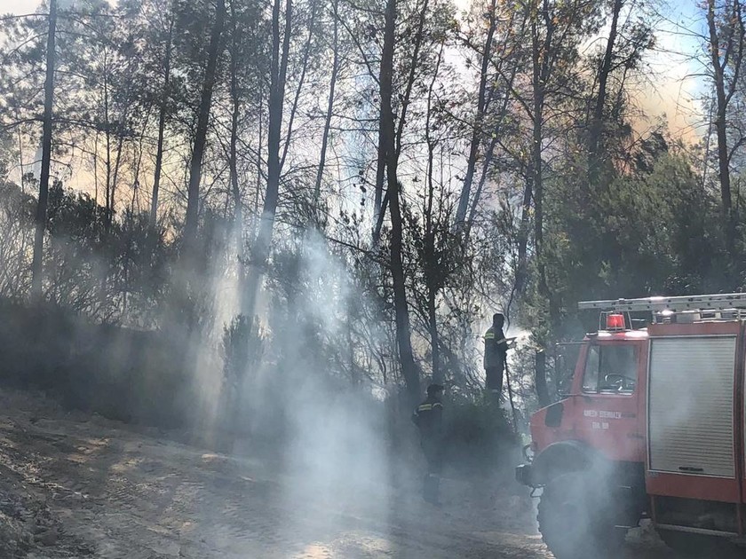 Πύρινη κόλαση στη Χαλκιδική: Η φωτιά κυκλώνει τη Σάρτη – Εγκαταλείπουν τα σπίτια τους οι κάτοικοι