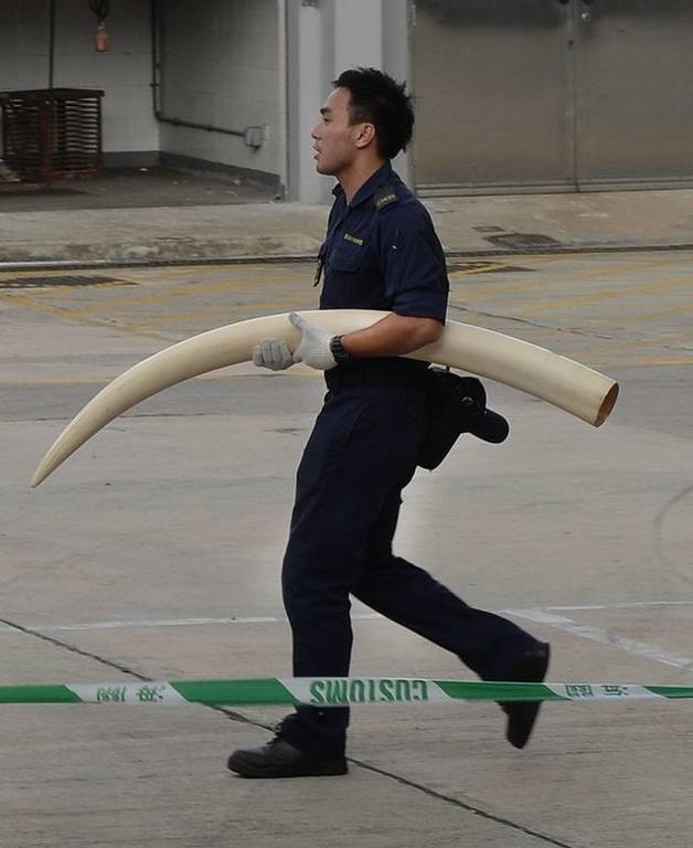 Οργή για την απόφαση της Κίνας να επιτρέψει ξανά το εμπόριο κόκκαλων τίγρη και κεράτων ρινόκερου