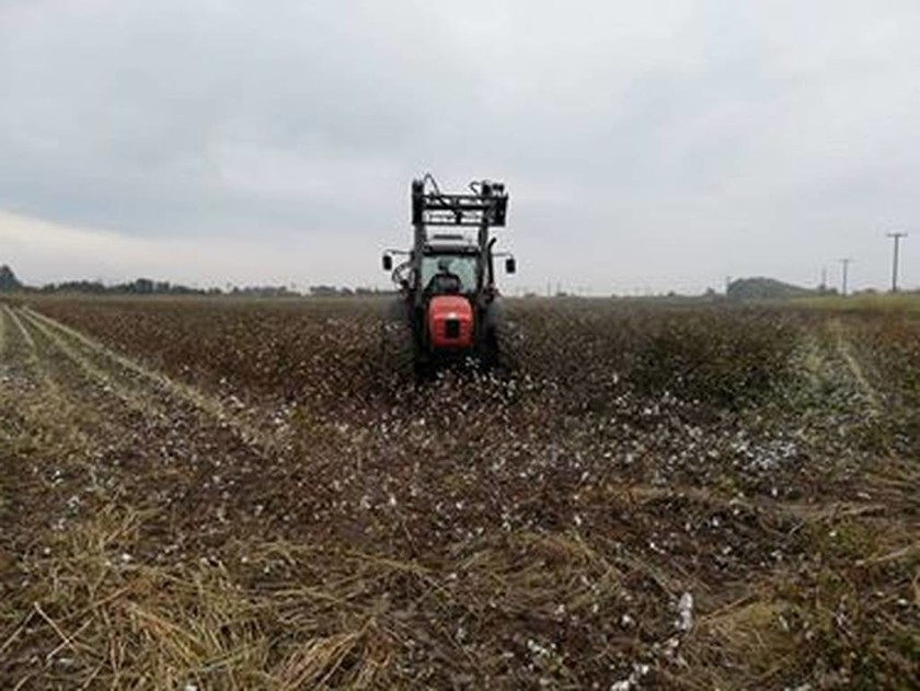  ΑΑΔΕ: Μείωση φόρων σε αγρότες με κέρδη έως 10.000 ευρώ 