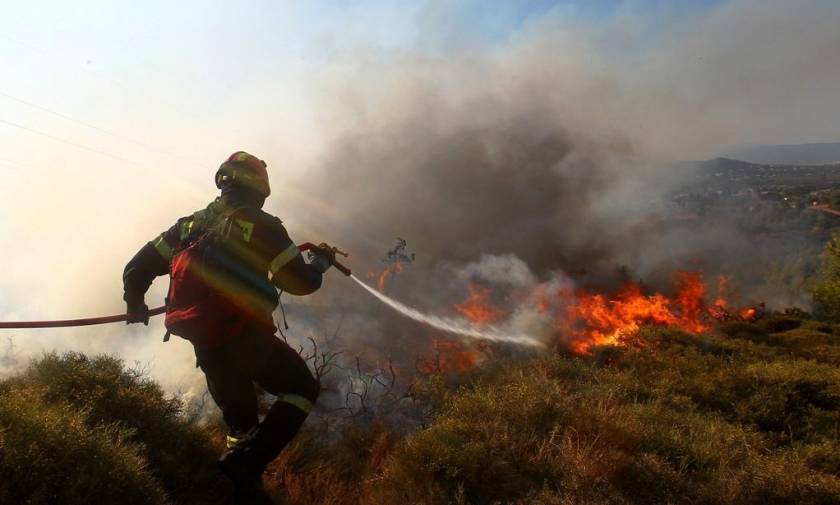 Μεγάλη πυρκαγιά μεταξύ Κρούστα και Μάλες στο Λασίθι