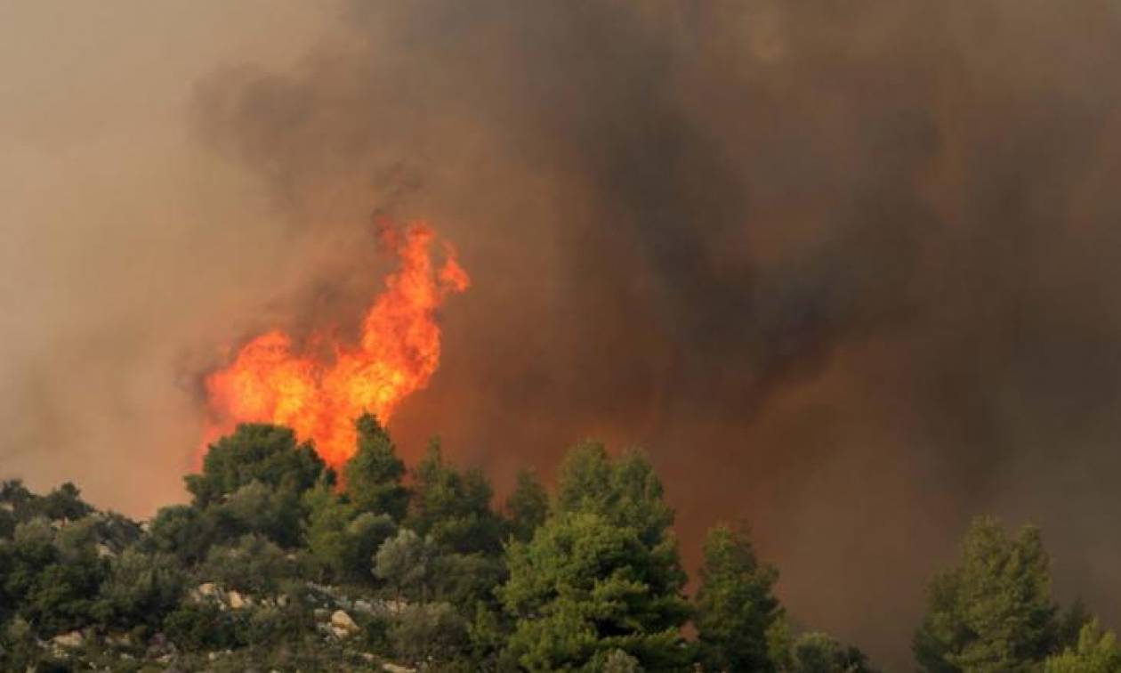 Μεγάλη φωτιά κοντά στο Ευηνοχώρι: Μάχη των πυροσβεστών με φλόγες και δυνατούς ανέμους