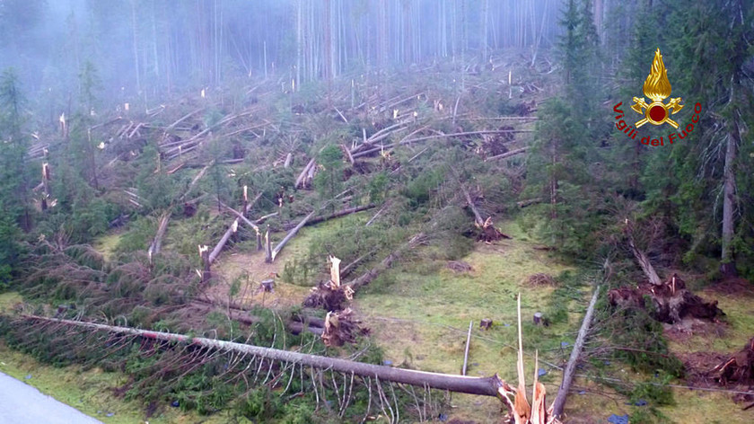 Ιταλία: 17 οι νεκροί από τη φονική θεομηνία - Ισοπεδώθηκαν ολόκληρα δάση! (vid+pics)