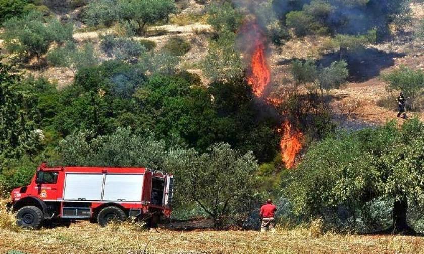 Στις φλόγες η Κρήτη: 556 οι αγροτοδασικές πυρκαγιές από την αρχή του 2018