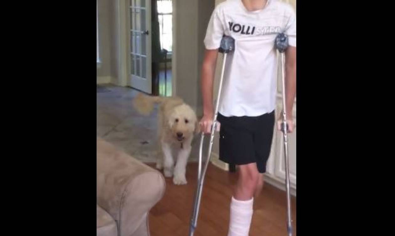 Απίστευτο! Σκύλος κοροϊδεύει το περπάτημα αγοριού με σπασμένο πόδι (vid)