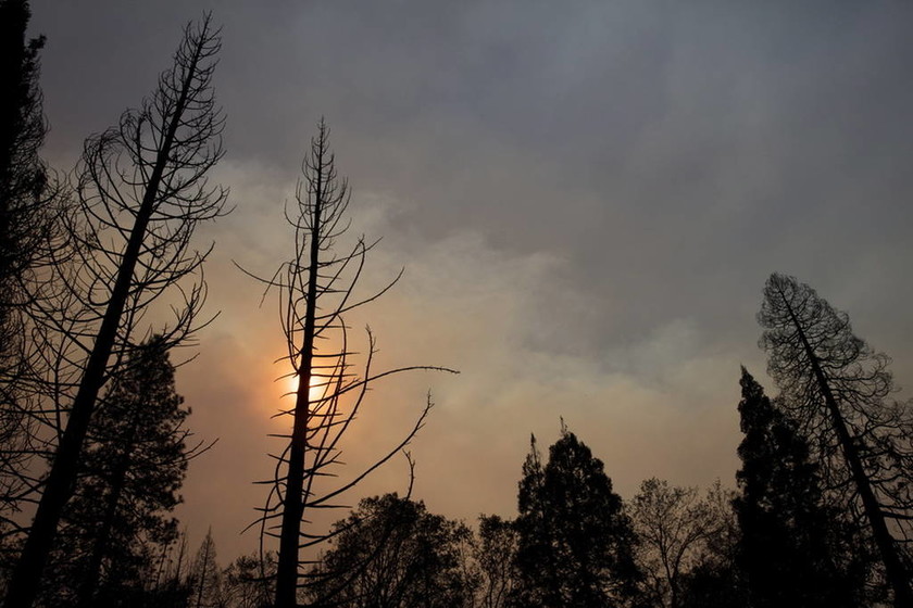 Καλιφόρνια: Θυελλώδεις άνεμοι «τρέφουν» τη φονική πυρκαγιά - Εκατοντάδες αγνοούμενοι (pics+vid)