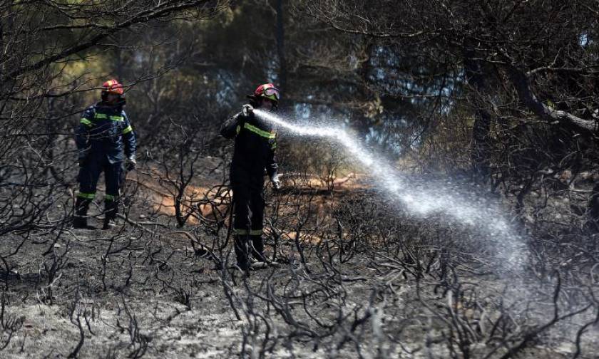Μυτιλήνη: Μεγάλη πυρκαγιά στην περιοχή Καμένο Δάσος