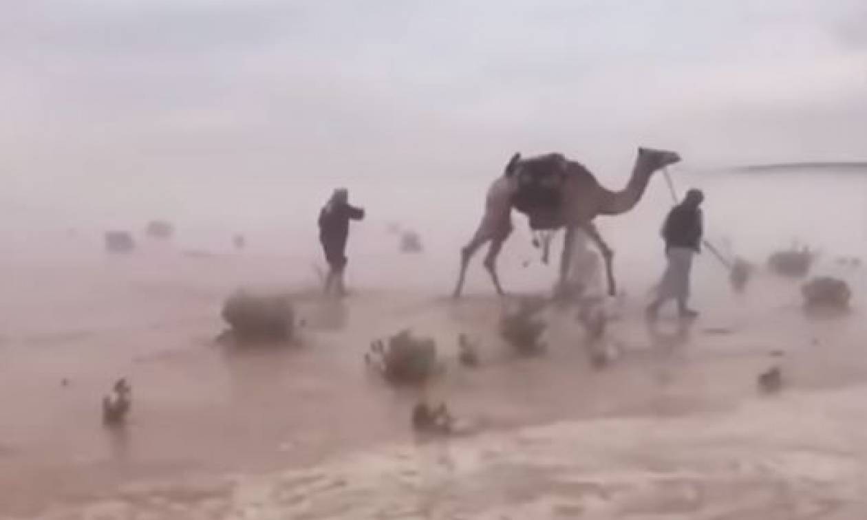 Η έρημος στη Σαουδική Αραβία όπως δεν την έχετε ξαναδεί μετά τις σφοδρές βροχοπτώσεις! (vid)