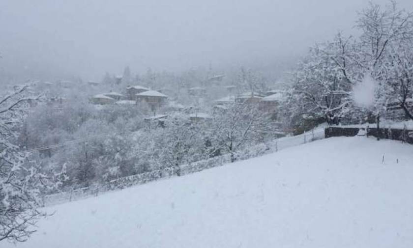 Καιρός: Εγκλωβίστηκαν στα χιόνια 30 άτομα σε χιονοδρομικό στην Πτολεμαΐδα - Δείτε LIVE πού χιονίζει
