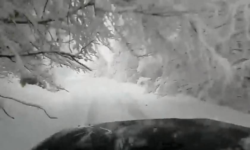 Καιρός: Υπέροχο βίντεο από τον χιονισμένο Όλυμπο