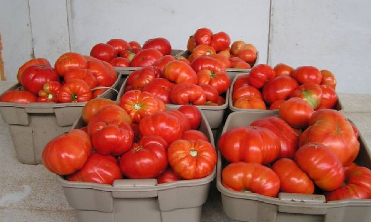 Δέσμευση 1,5 τόνου ντομάτας σε επιχείρηση του Πειραιά