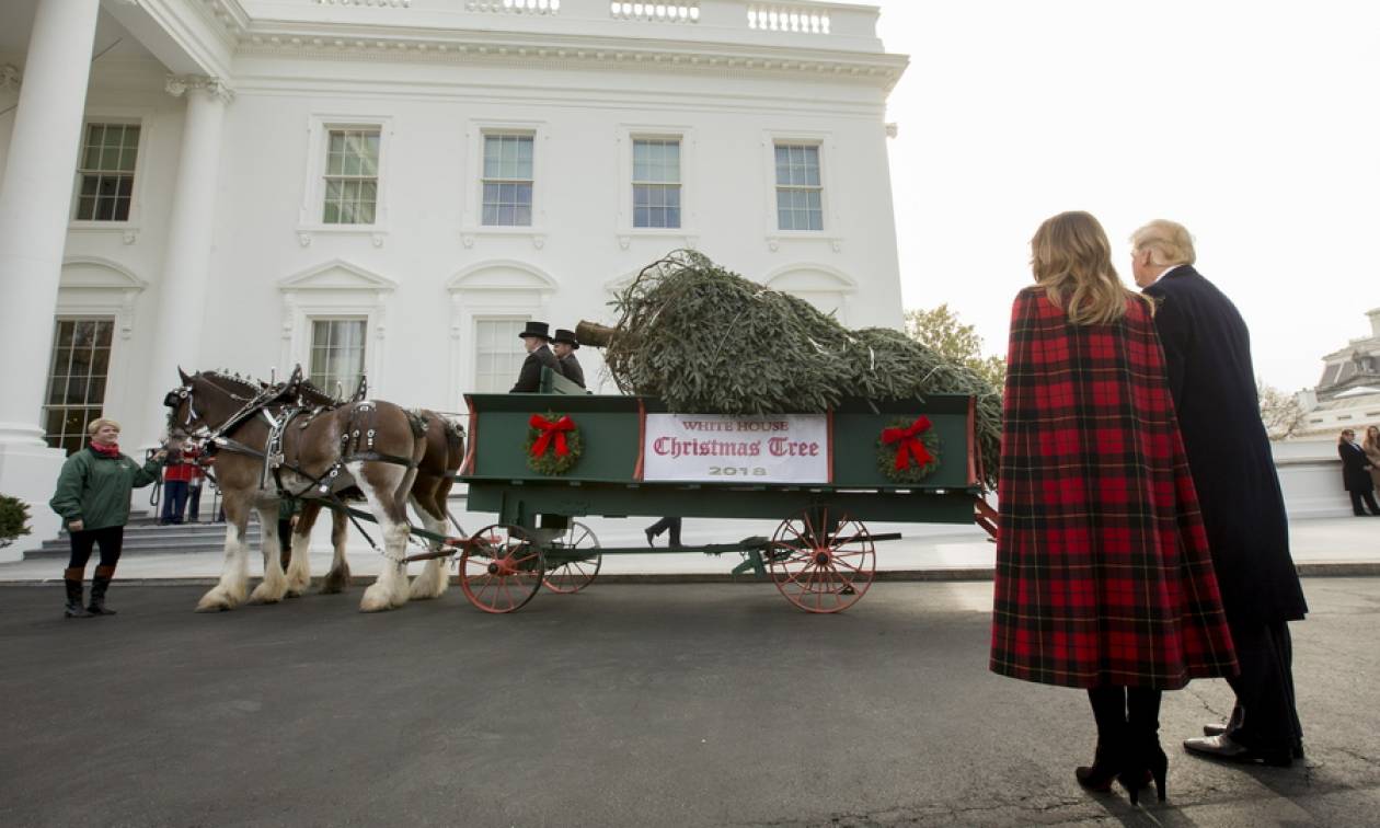 Τα Χριστούγεννα «έφτασαν» στο Λευκό Οίκο: Τραμπ και Μελάνια υποδέχθηκαν το δέντρο (pics)