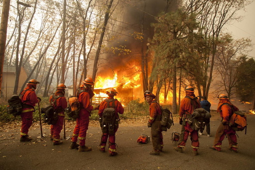 Τους έκανε «έξω φρενών» ο Ζίνκε: Για την φονική πυρκαγιά στην Καλιφορνια φταίνε οι περιβαλλοντολόγοι