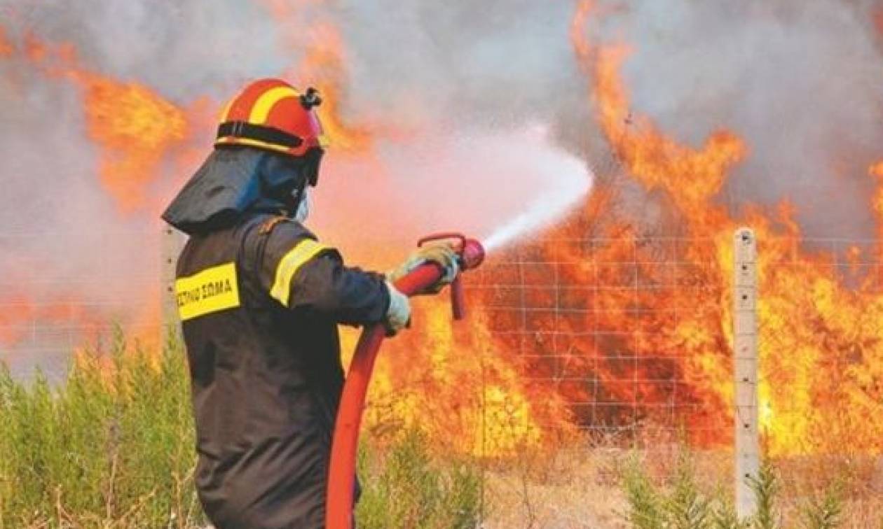 Τρίκαλα: Κεραυνός έκαψε δεκάδες πρόβατα