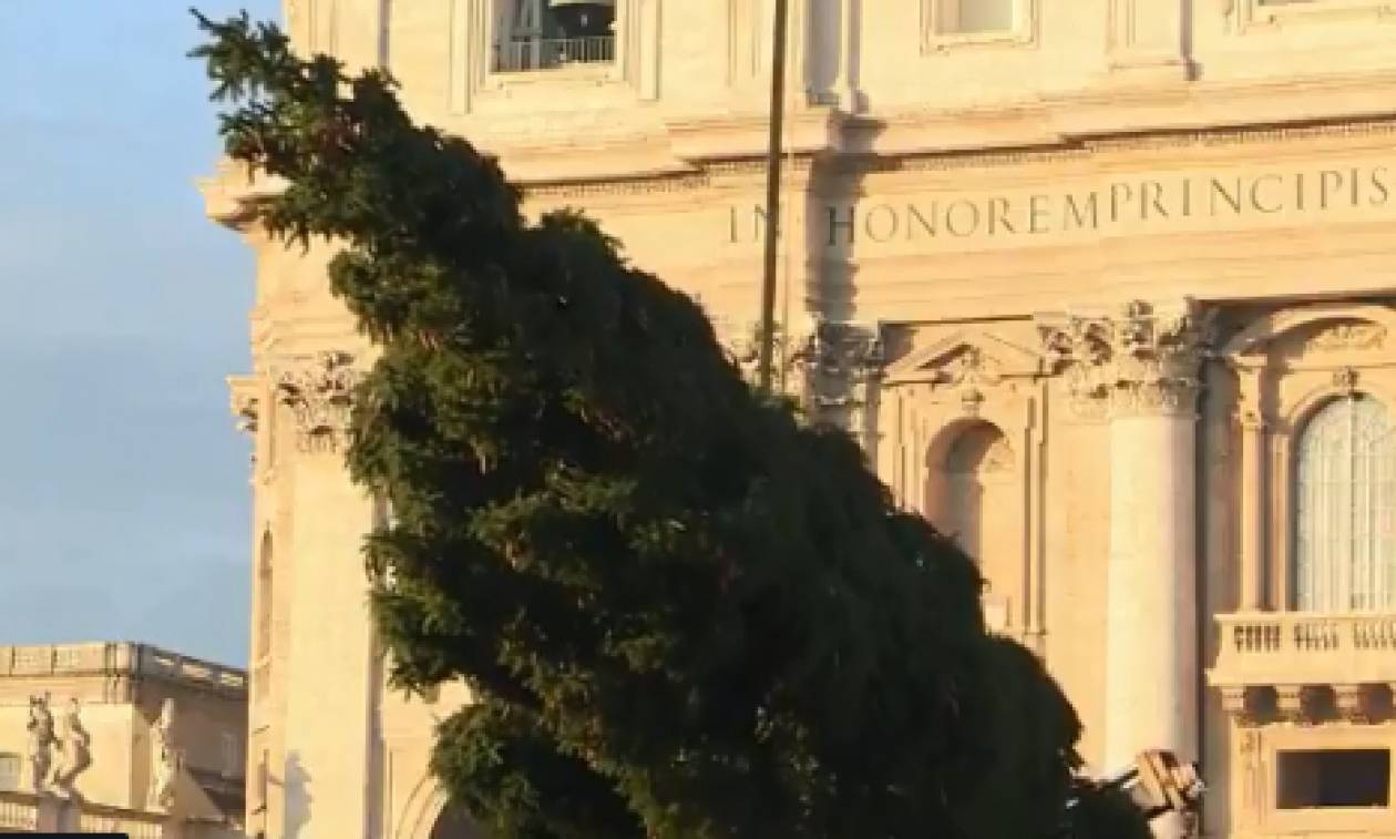 Χριστούγεννα στη Ρώμη: Το παραδοσιακό έλατο έφτασε στην πλατεία του Αγίου Πέτρου (vid)