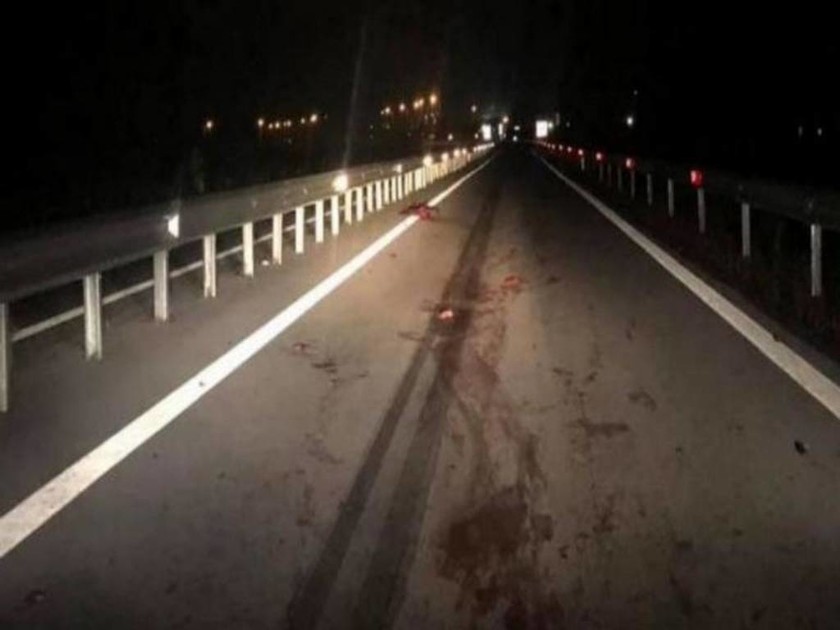 Σκληρές εικόνες από τροχαίο στη Φθιώτιδα: Οδηγός συγκρούστηκε με κοπάδι αγριογούρουνων (pics)