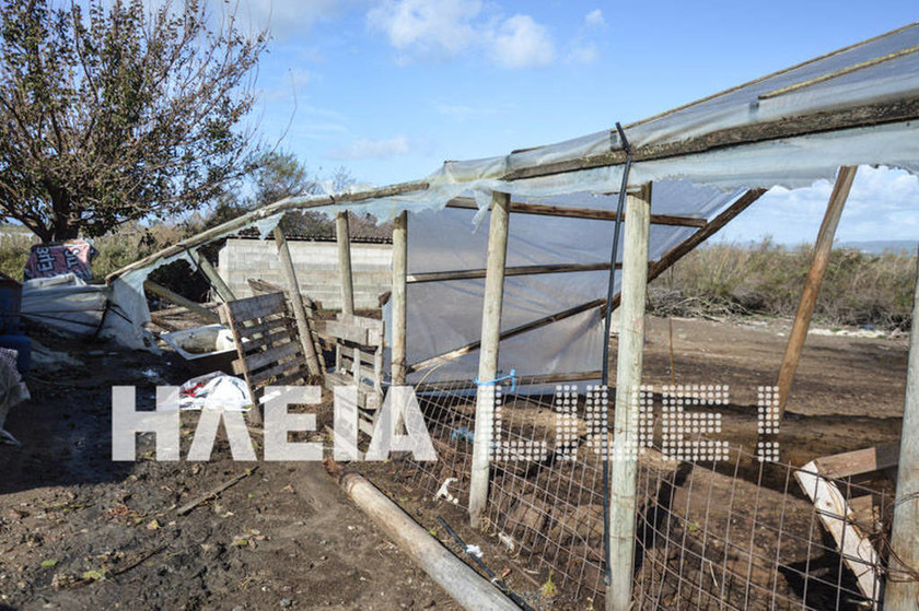 Ηλεία: Η «Πηνελόπη» σάρωσε στάβλους στην Αγουλινίτσα (pics)