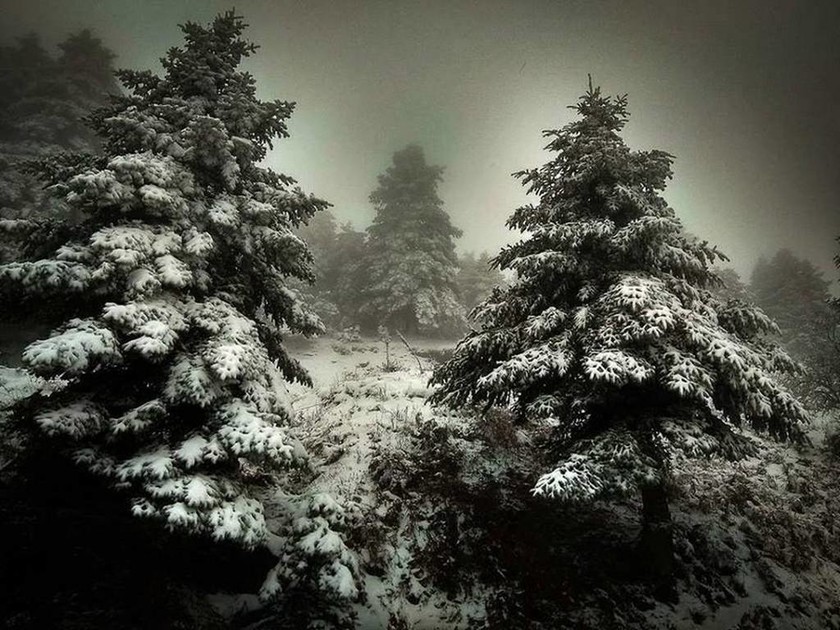 Εύβοια: Έπεσαν οι πρώτες νυφάδες του χιονιού - Δείτε τις υπέροχες εικόνες (pics)