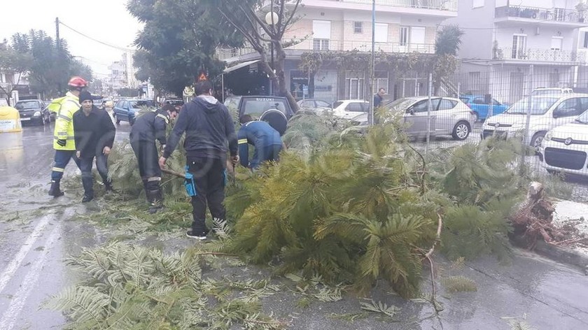 Καιρός: Έπεσαν δέντρα – Πλημμύρισαν δρόμοι στα Χανιά (pics+vid)