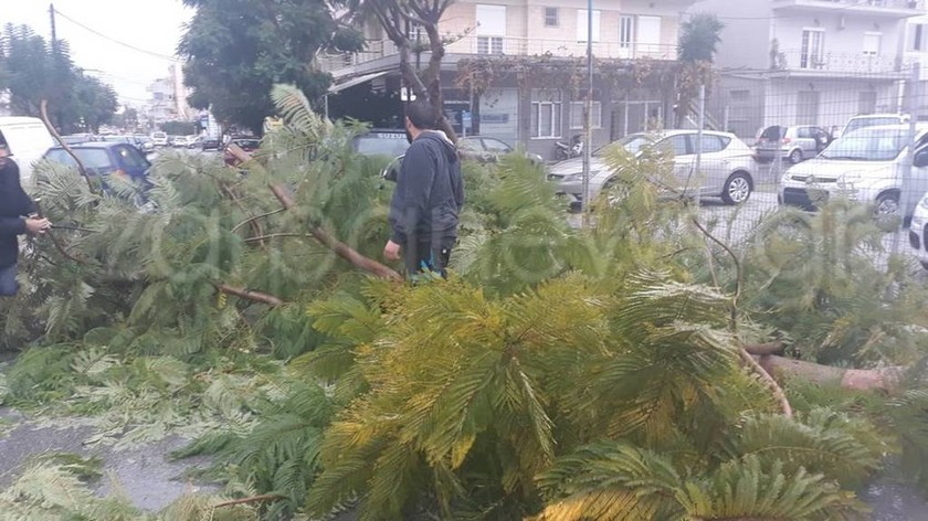 Καιρός: Έπεσαν δέντρα – Πλημμύρισαν δρόμοι στα Χανιά (pics+vid)