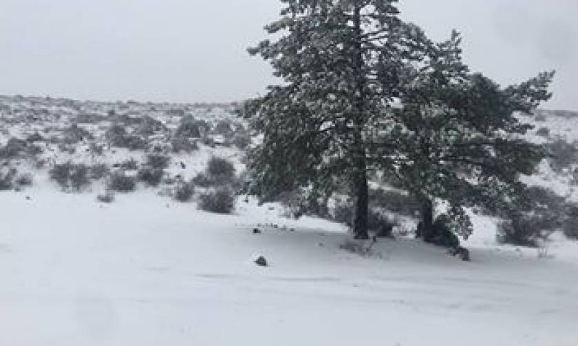 Απίστευτες εικόνες: Στα λευκά η Πάρνηθα -  Ξεπερνά τα 10 εκατοστά το χιόνι (pics+vids)