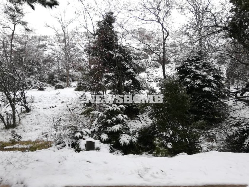 Απίστευτες εικόνες: Στα λευκά η Πάρνηθα -  Ξεπερνά τα 10 εκατοστά το χιόνι (pics+vid)