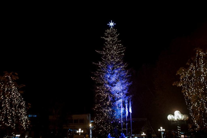 Φωταγωγήθηκε το πιο ψηλό φυσικό χριστουγεννιάτικο δέντρο στην Ελλάδα - Πού βρίσκεται (pics)