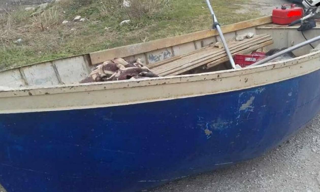 Γρεβενά: Δύο συλλήψεις για παράνομη αλιεία στο φράγμα του Ιλαρίωνα