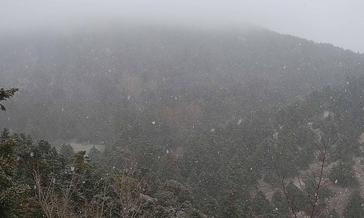 Καιρός τώρα: Χιονίζει στην Πάρνηθα - Δείτε live εικόνα