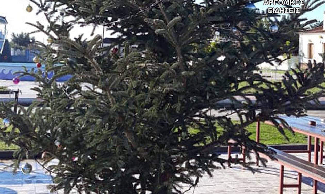 Άργος: Έκλεψαν τον στολισμό από χριστουγεννιάτικο δέντρο (pics)