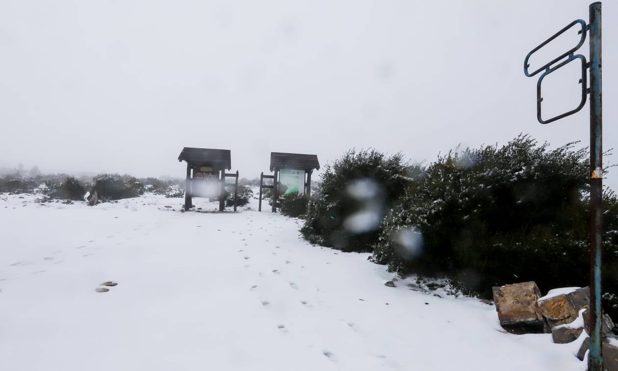 Καιρός ΤΩΡΑ: Πυκνή χιονόπτωση στην Πάρνηθα – Δείτε LIVE