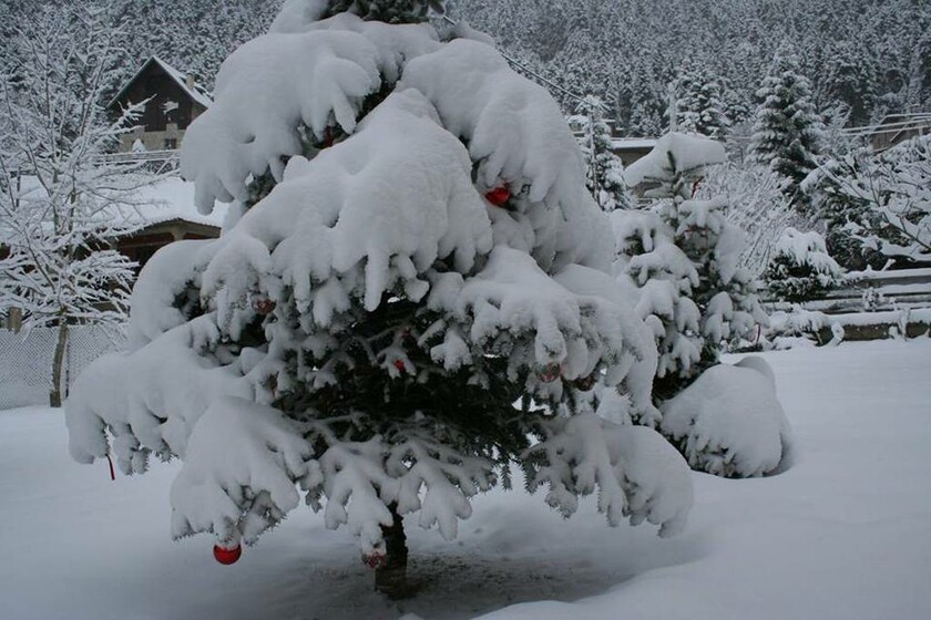 Όμορφη εικόνα από το χιονισμένο Περτούλι