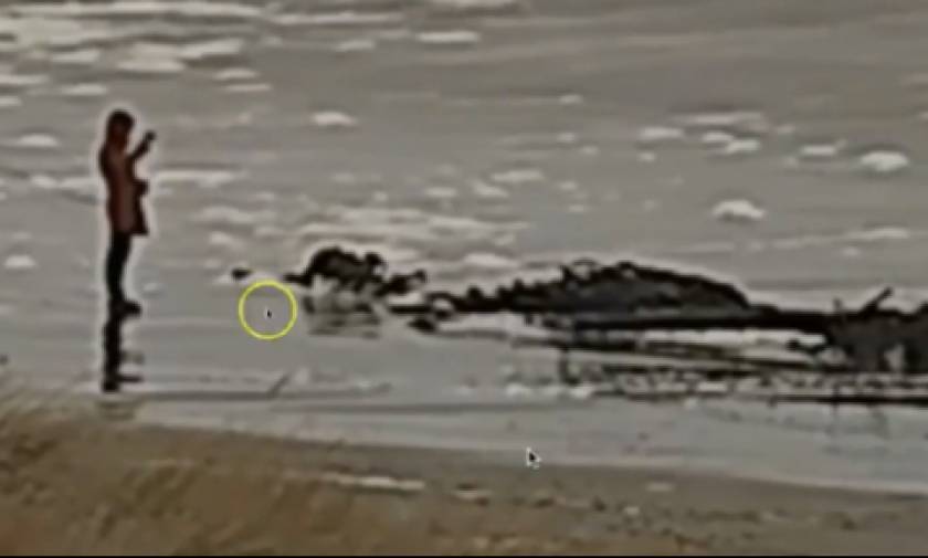 Συναγερμός: Ένα μυστήριο γιγαντιαίο πλάσμα ξεβράστηκε στην ακτή (pic&vid)