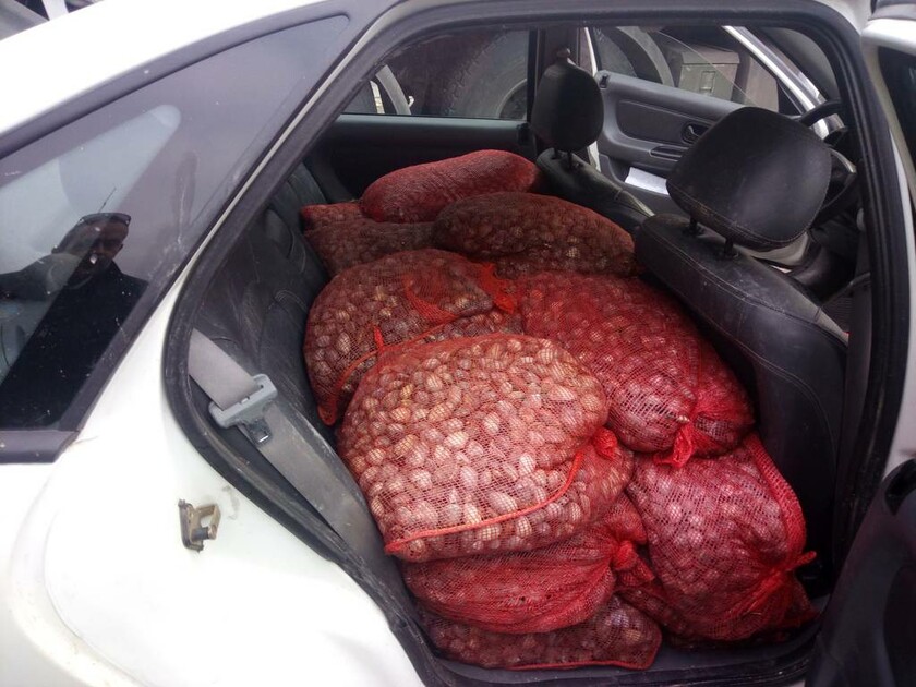 Καβάλα: Κατασχέθηκαν 750 κιλά όστρακα ακατάλληλα για κατανάλωση – Συνελήφθη 52χρονος