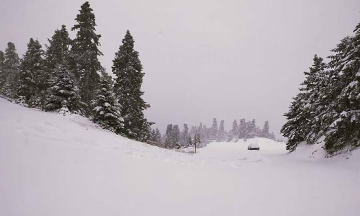 Καιρός ΤΩΡΑ: Πυκνή χιονόπτωση στον Παρνασσό – Πάνω από 20 εκατοστά το ύψος του χιονιού (pics+vid)