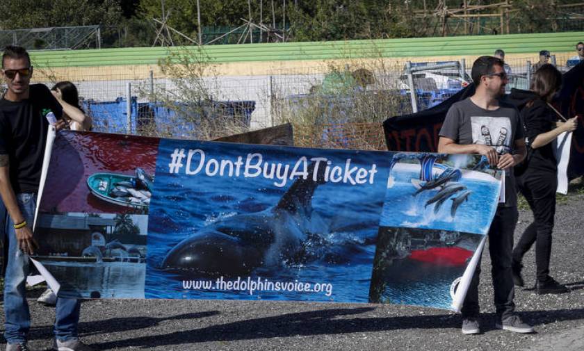 Ένταση και επεισόδια σε διαμαρτυρία στο Αττικό Ζωολογικό Πάρκο για τη θανάτωση των τζάγκουαρ