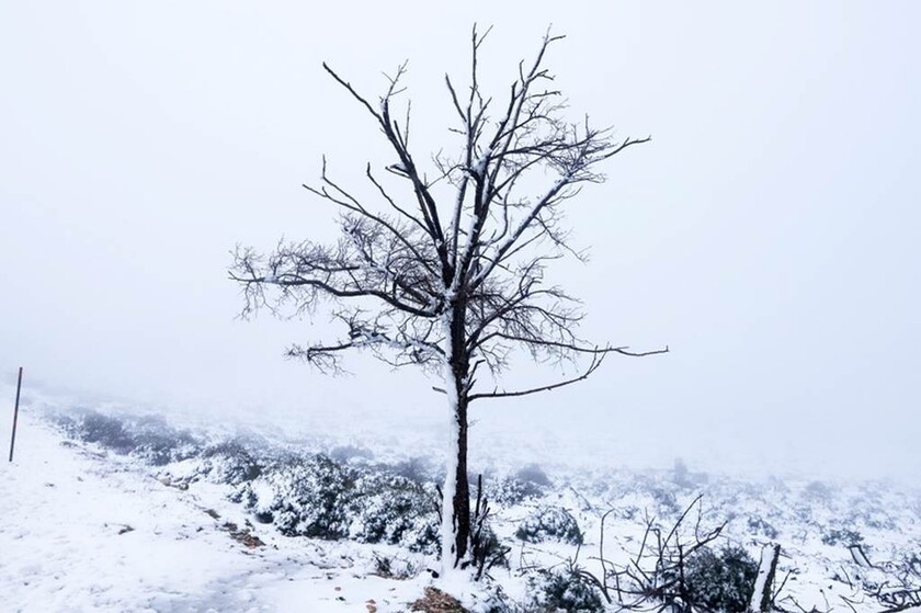 Καιρός: Ο Ραφαήλ έφερε χιόνια και στην Αττική – Με αντιολισθητικές αλυσίδες στη Λ. Πάρνηθος