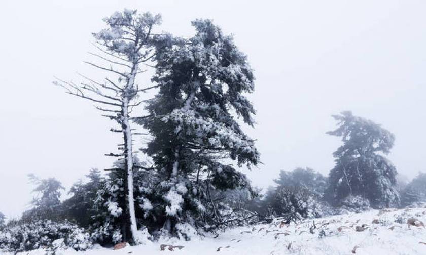 Καιρός: Αυτές οι περιοχές θα «θαφτούν» στο χιόνι τις επόμενες ώρες -  Δραματική έκκληση Καλλιάνου