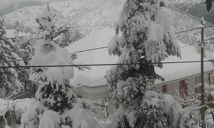 Καιρός: Aποκλεισμένα χωριά στη Φθιώτιδα από το χιόνι - Εν αναμονή νέου κύμματος (pics+vid)
