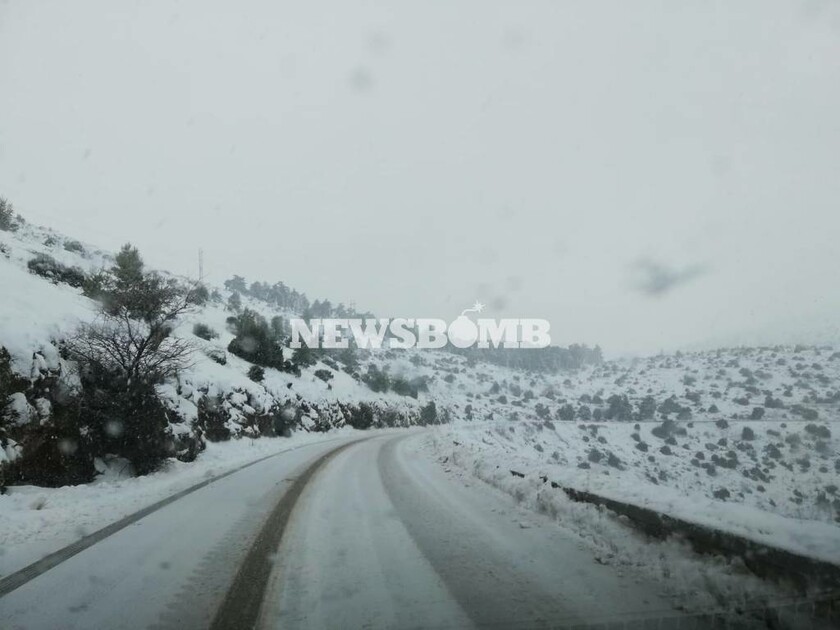 Καιρός LIVE: Σε κλοιό χιονιά η Ελλάδα – Λευκό τοπίο από Μακεδονία μέχρι Πελοπόννησο (pics&vids)