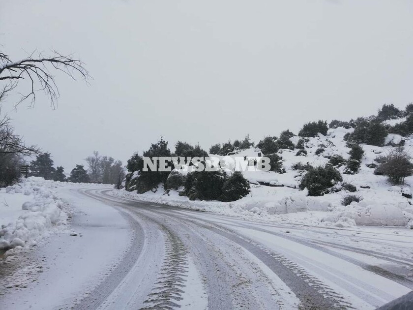 Καιρός ΤΩΡΑ: Πυκνή χιονόπτωση στην Πάρνηθα - Κλειστός ο δρόμος από το τελεφερίκ (pics+vid)