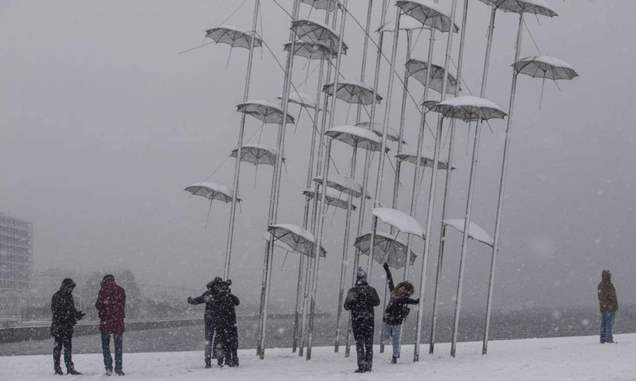Κακοκαιρία: «Χειρόφρενο» στα λεωφορεία της Θεσσαλονίκης λόγω χιονιά - Δείτε ποιες ώρες