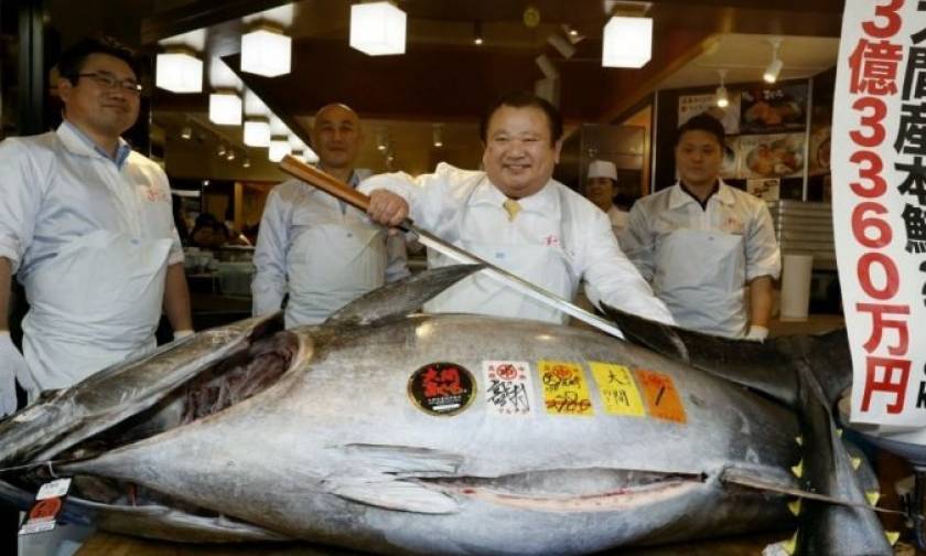 Ιαπωνία: Τόνος πουλήθηκε... 2,7 εκατ. ευρώ σε ιδιοκτήτη εστιατορίου σούσι (video)