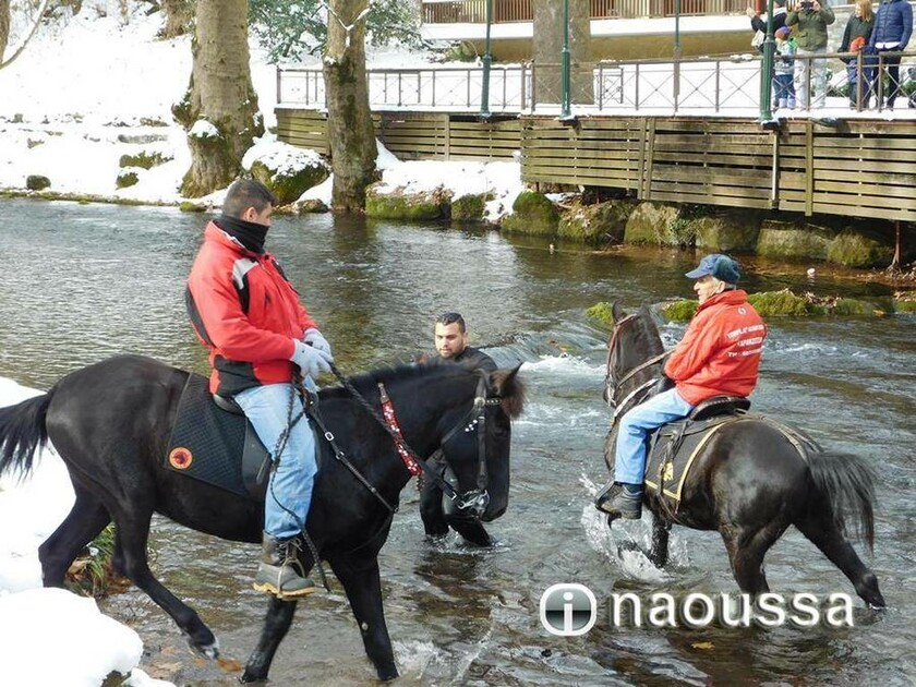 Θεοφάνεια: Με άλογα στον αγιασμό των υδάτων στη Νάουσα (pics)