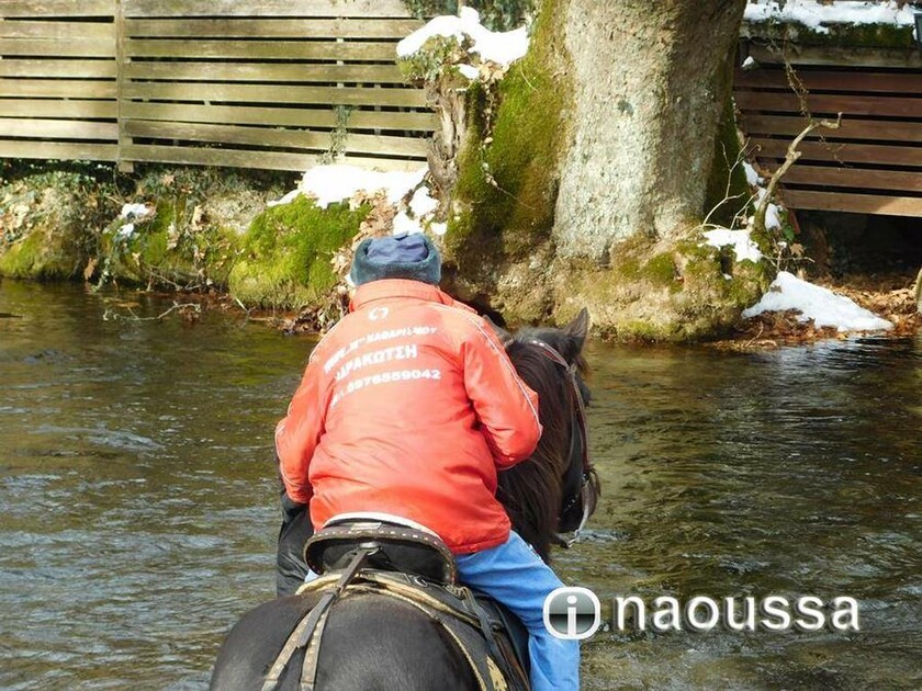 Θεοφάνεια: Με άλογα στον αγιασμό των υδάτων στη Νάουσα (pics)