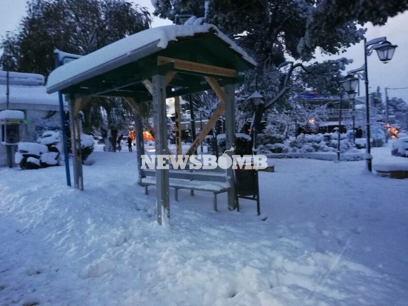 Καιρός: Στα λευκά όλη η Αθήνα - Υπέροχες εικόνες από τη χιονισμένη πρωτεύουσα
