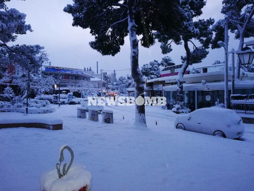 Καιρός: Στα λευκά όλη η Αθήνα - Υπέροχες εικόνες από τη χιονισμένη πρωτεύουσα