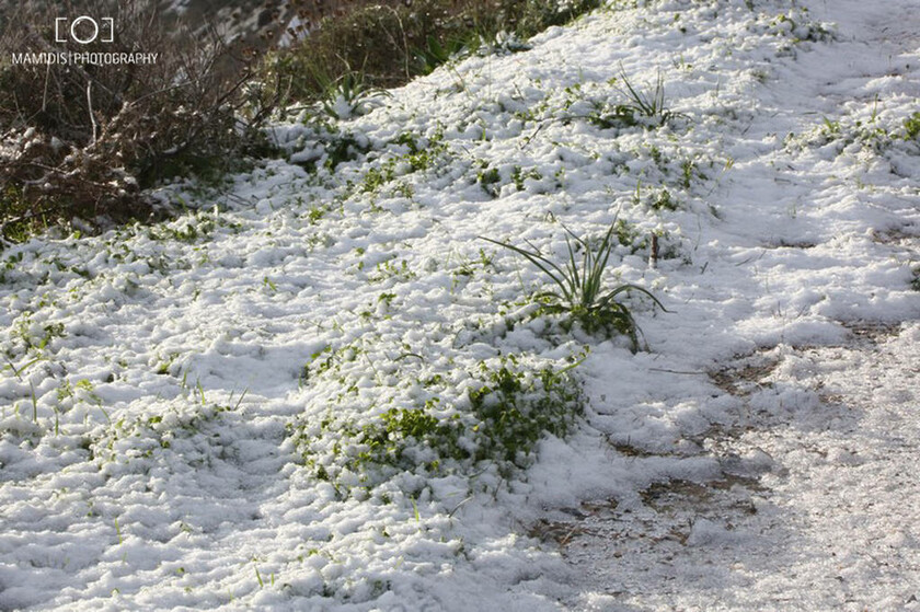 Στα λευκά και οι Κυκλάδες: Χιόνια σε Σύρο, Νάξο και Ηρακλειά (vid+photos)