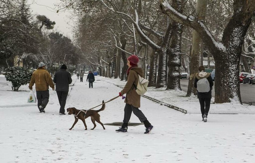 Καιρός - Ο χιονιάς «χτύπησε» τη Θεσσαλονίκη - Μαγευτικές εικόνες από το χιονισμένο κέντρο της πόλης