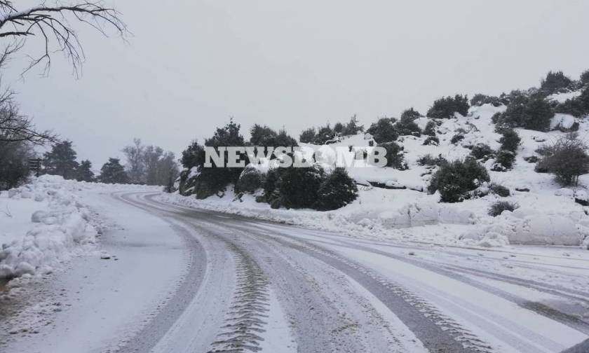 Καιρός ΤΩΡΑ: Πυκνή χιονόπτωση στην Πάρνηθα - Κλειστός ο δρόμος από το τελεφερίκ (pics)