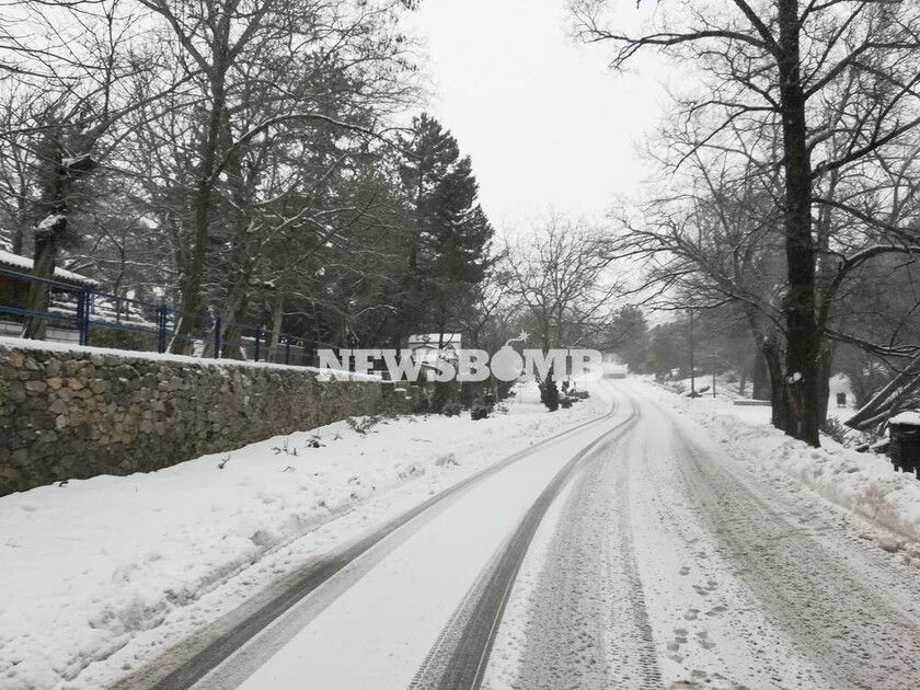 Καιρός ΤΩΡΑ: Πυκνή χιονόπτωση στην Πάρνηθα - Κλειστός ο δρόμος από το τελεφερίκ (pics)